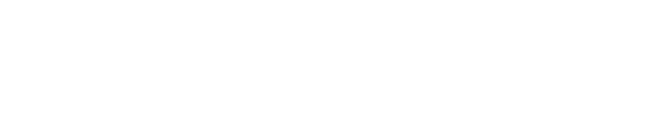 Nexus Logo WHITE